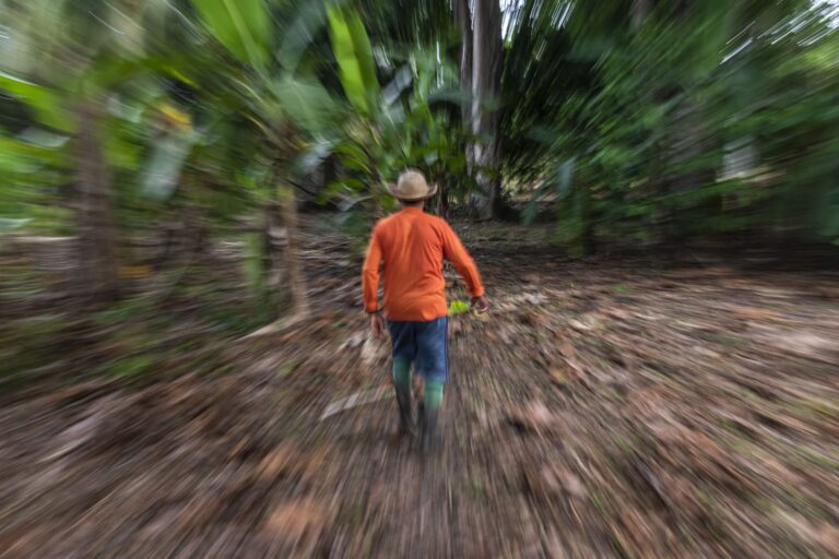 Foto: Reprodução Floresta+ Amazônia