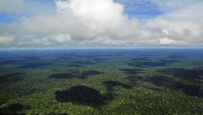 Maioria quer proteção da Amazônia entre prioridades dos candidatos