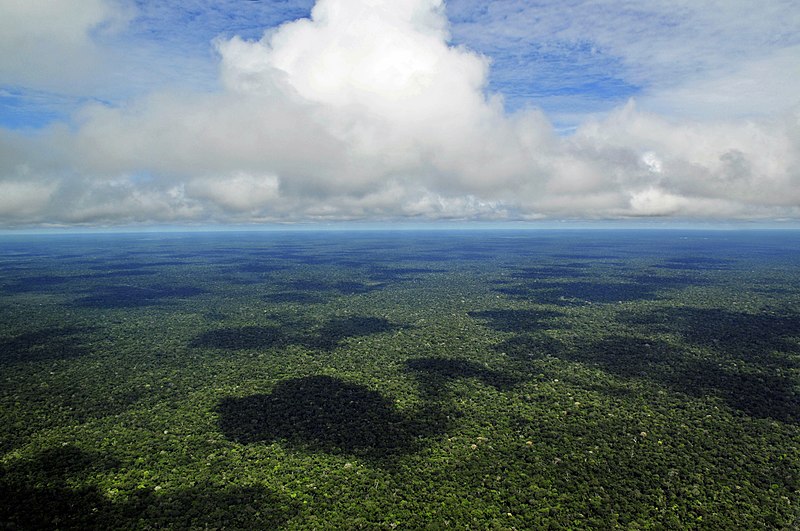 Maioria quer proteção da Amazônia entre prioridades dos candidatos