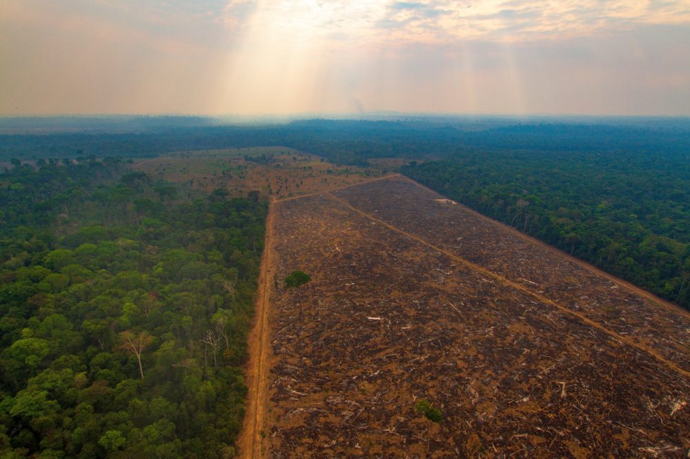 Desmatamento Amazônia