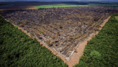 Amazônia registra recorde de desmatamento dos últimos 15 anos