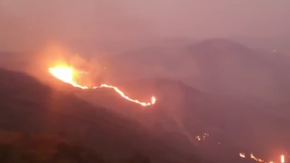 Incêndio atinge serra do Curral em MG e destrói a vegetação