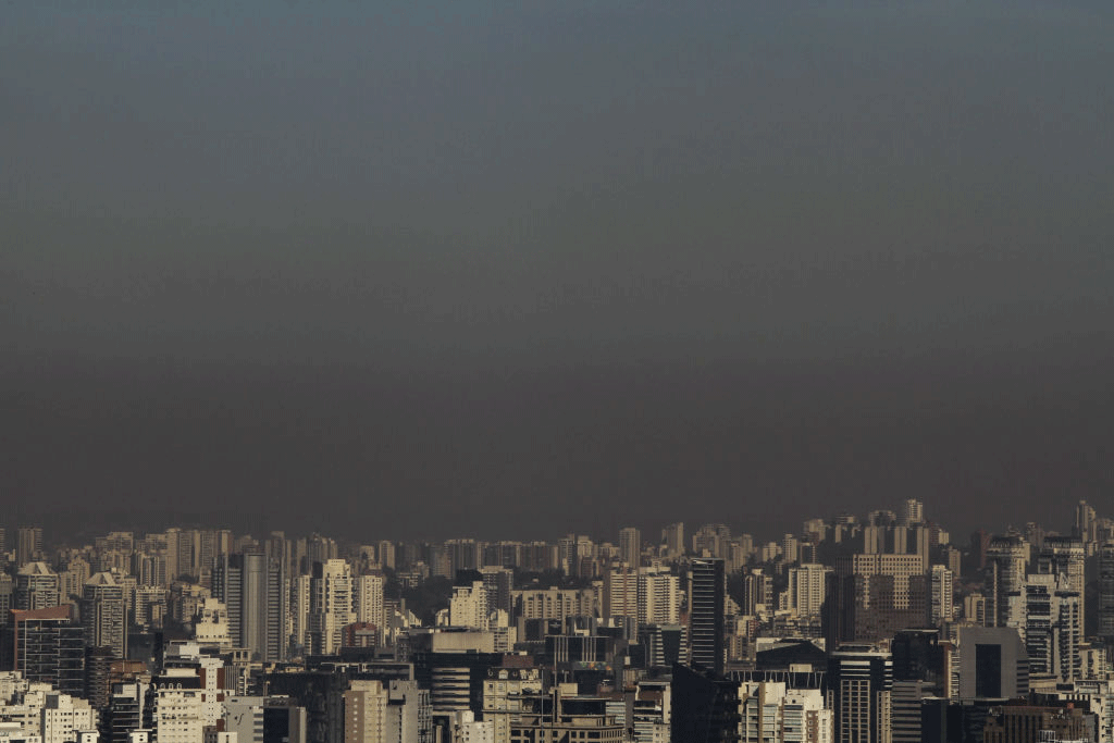 Fumaça de queimadas da Amazônia chega a São Paulo