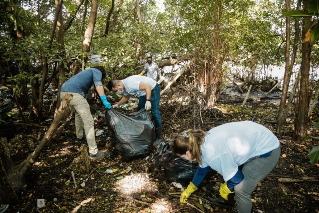 Programa convoca jovens a desenvolver soluções sustentáveis globais