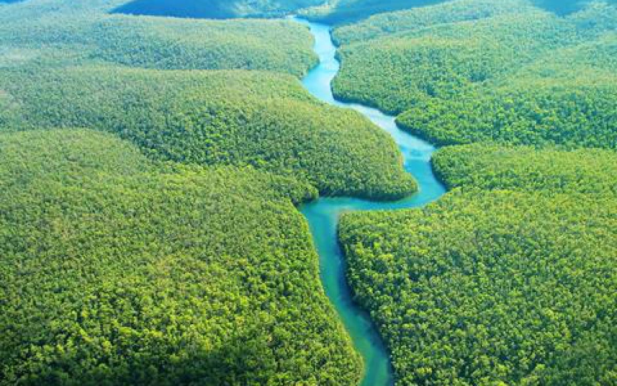 Suzano, Vale, Marfrig, Itaú, Santander e Rabobank criam empresa de preservação florestal