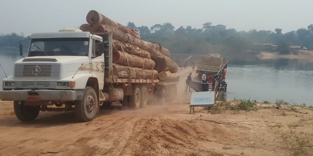 Projeto que amplia limite de exploração de madeira em área rural sem autorização ambiental é aprovada