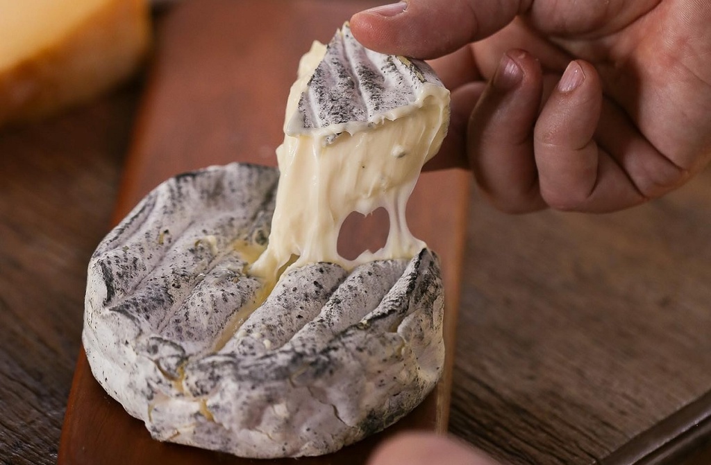 Brasil ganha medalhas de ouro e prata no World Cheese Awards 2022