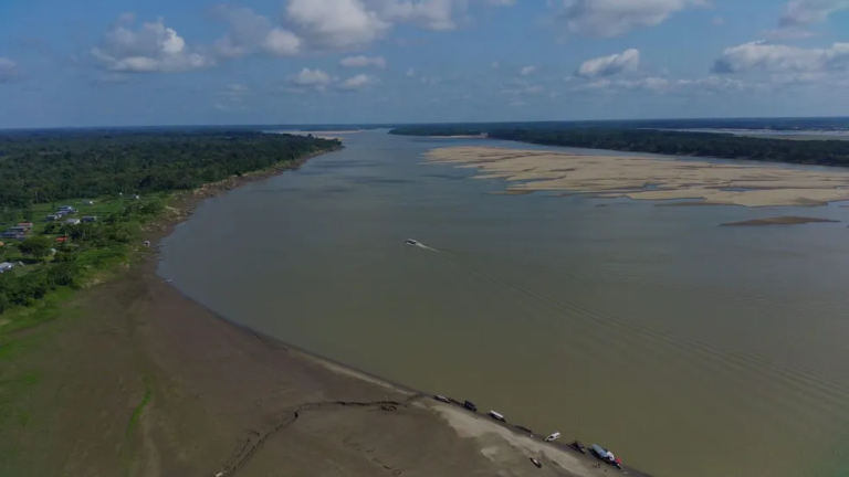 Botos são encontrados mortos no Lago Tefé por conta da seca