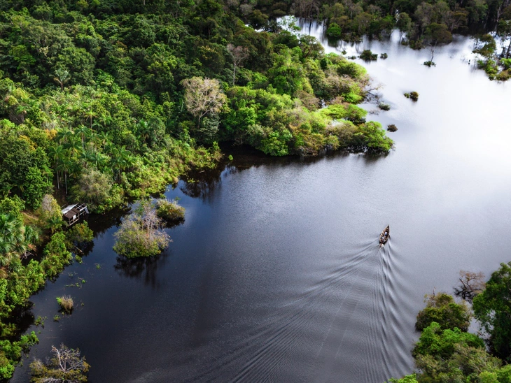 Petrobras apresenta projeto que conserva a Amazônia e gera renda às comunidades locais na COP-27