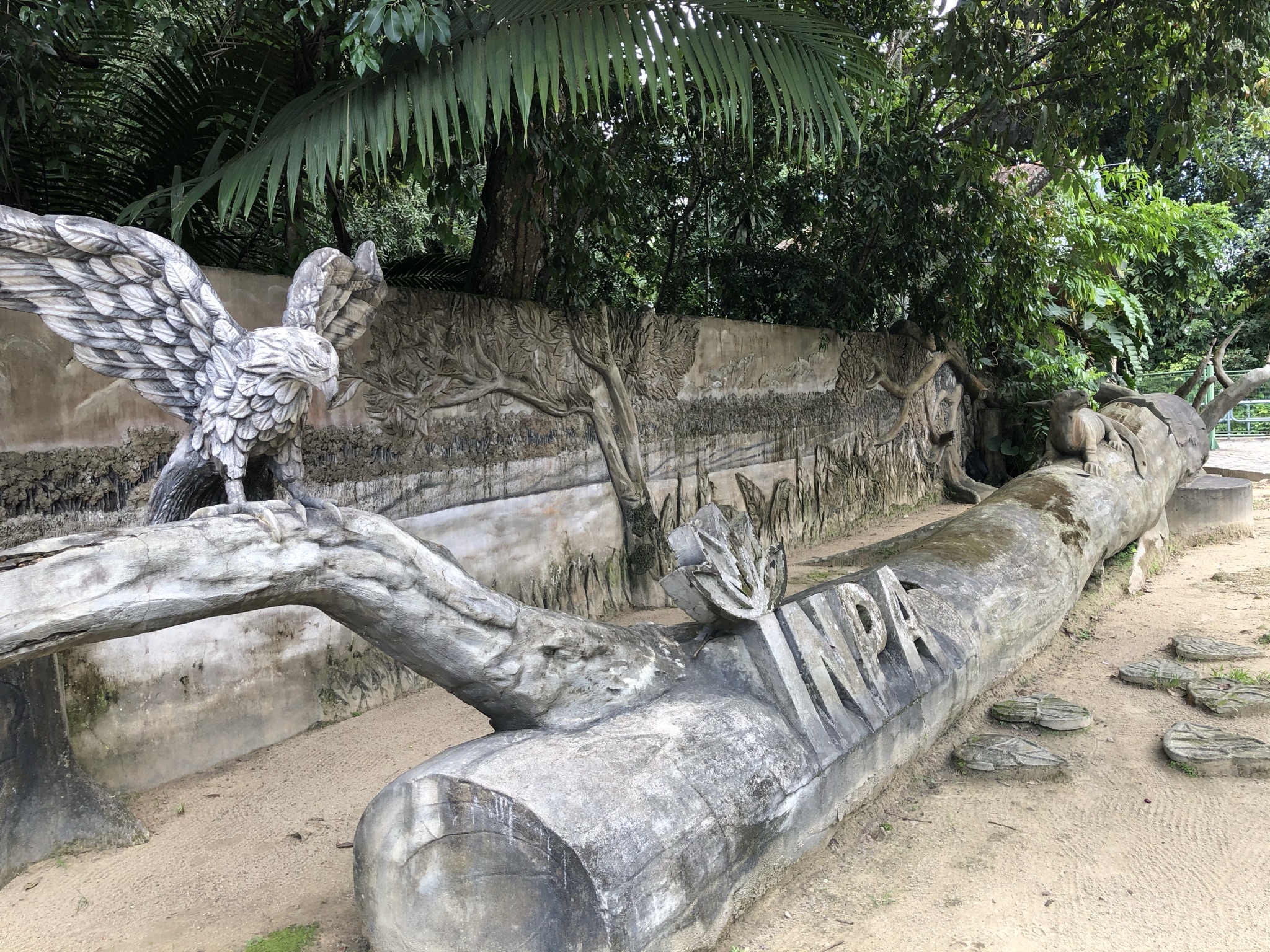 Mestrado Profissional em Gestão de Áreas Protegidas na Amazônia do Inpa tem 20 vagas abertas para 2023