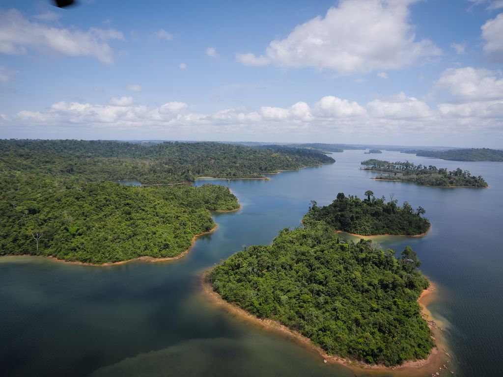 Governo Federal reestabelece Fundo Amazônia e revoga decreto pró-garimpo