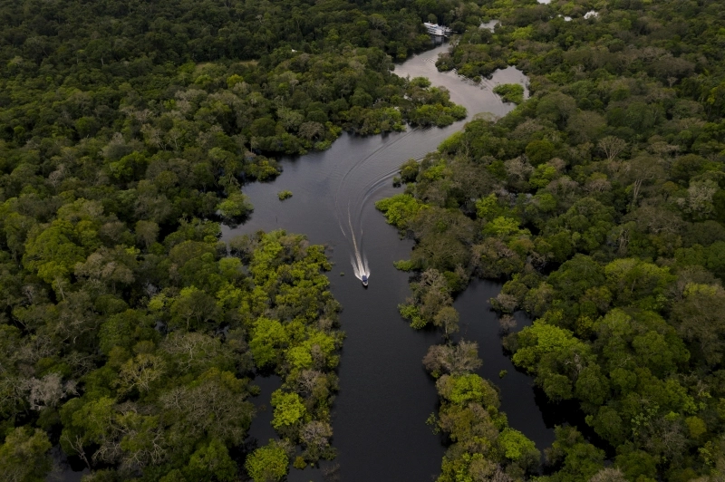 Fundo Amazônia recebe R$ 3,3 bilhões em doações