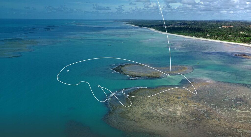 SOS Mata Atlântica e Fundação Toyota do Brasil abrem edital para projetos ambientais na Costa dos Corais