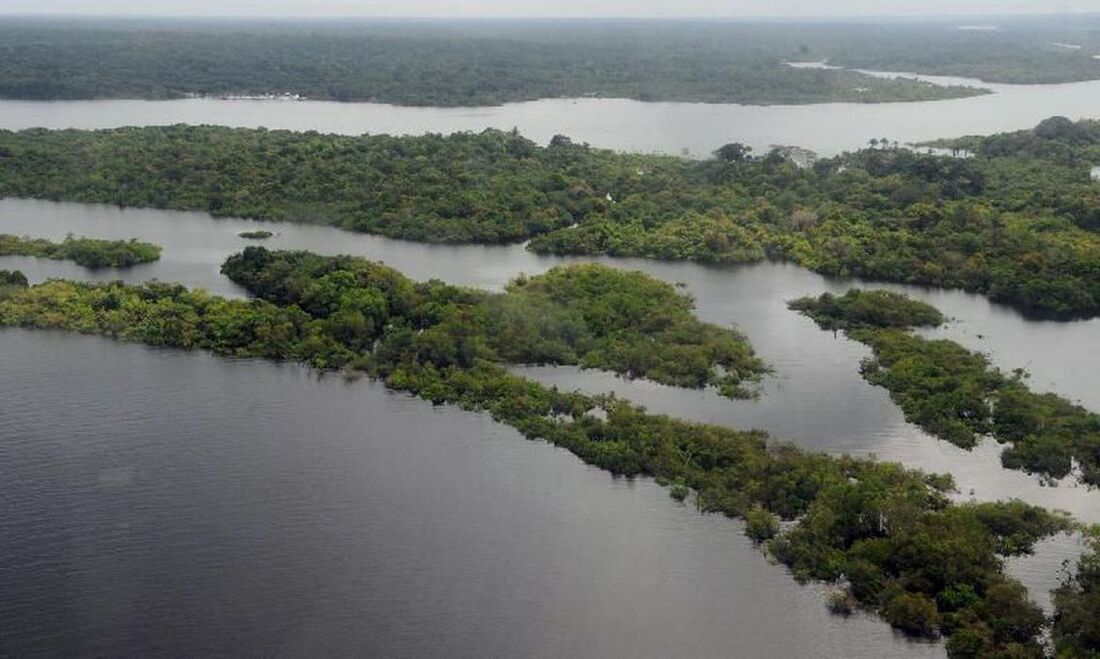 Programa vai formar empreendedores que apoiem floresta amazônica