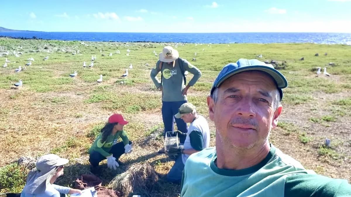 ICMBio faz dedetização de ratos em ilha do arquipélago de Noronha