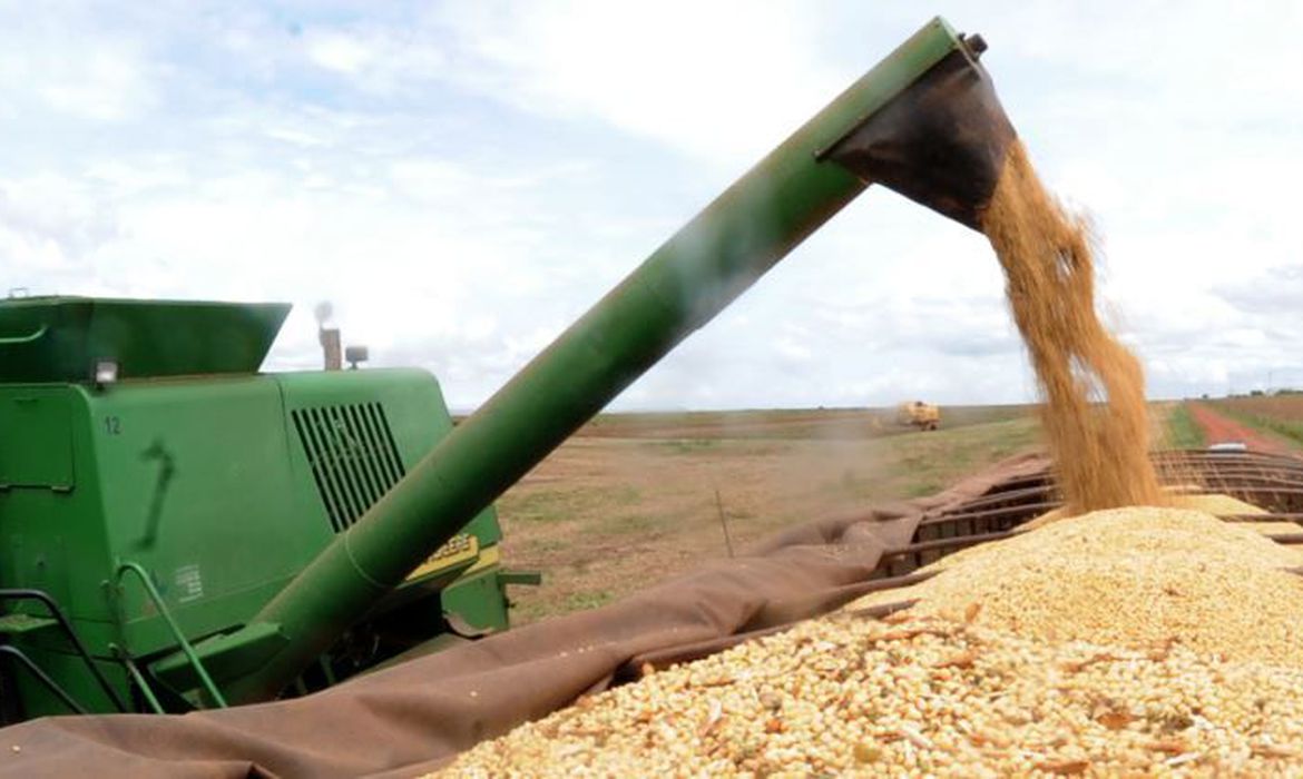 Safra 2023 vai ter área maior para soja, milho e algodão, destaca IBGE