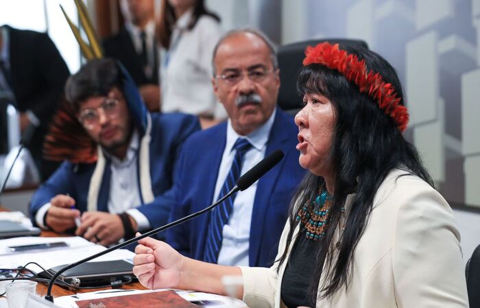 Presidenta da Funai elege medidas urgentes para terra Yanomami