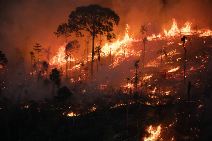 Amazônia concentra 90% da área com focos de incêndio no 1º bimestre