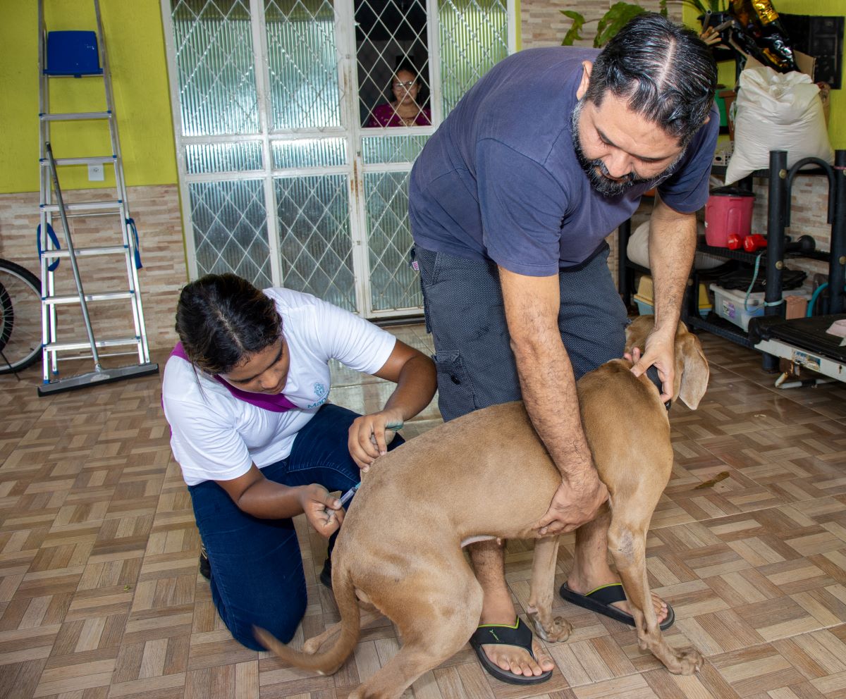 Vacinação antirrábica animal continua em Manaus