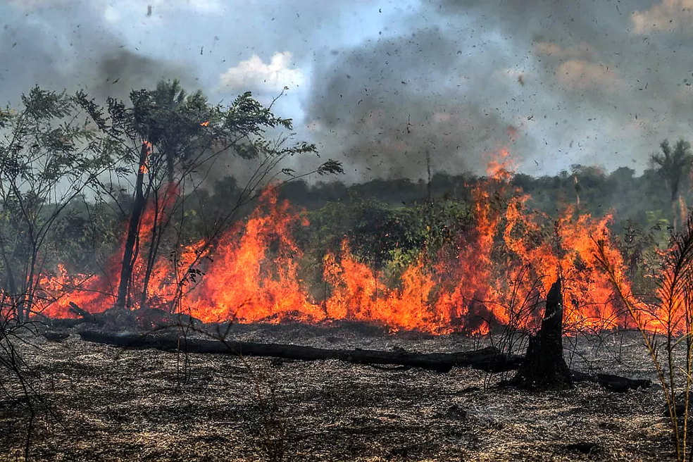 Ministério do Meio Ambiente declara 'emergência ambiental' em regiões do AM para diminuir queimadas