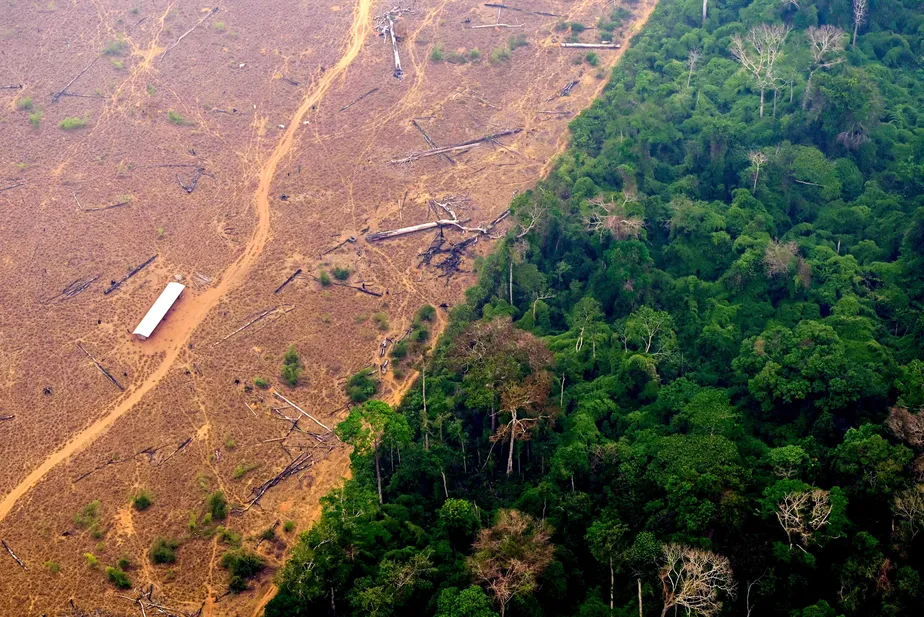 Brasil queimou área equivalente a Colômbia e Chile entre 1985 e 2022