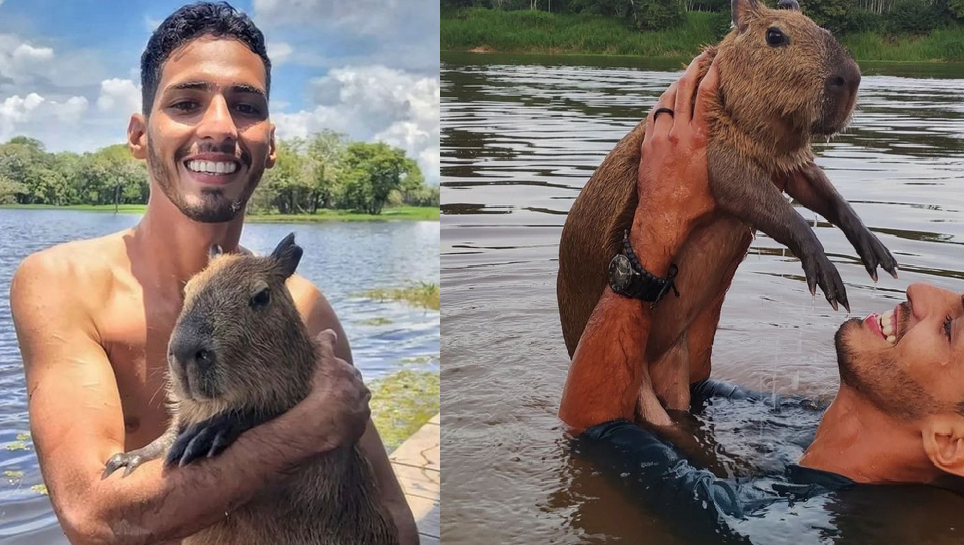 Ibama multa fazendeiro que cuida de capivara em fazenda em mais de R$ 17 mil