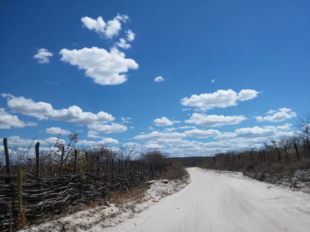 Caatinga possui grande riqueza de ambientes e espécies símbolos do Brasil