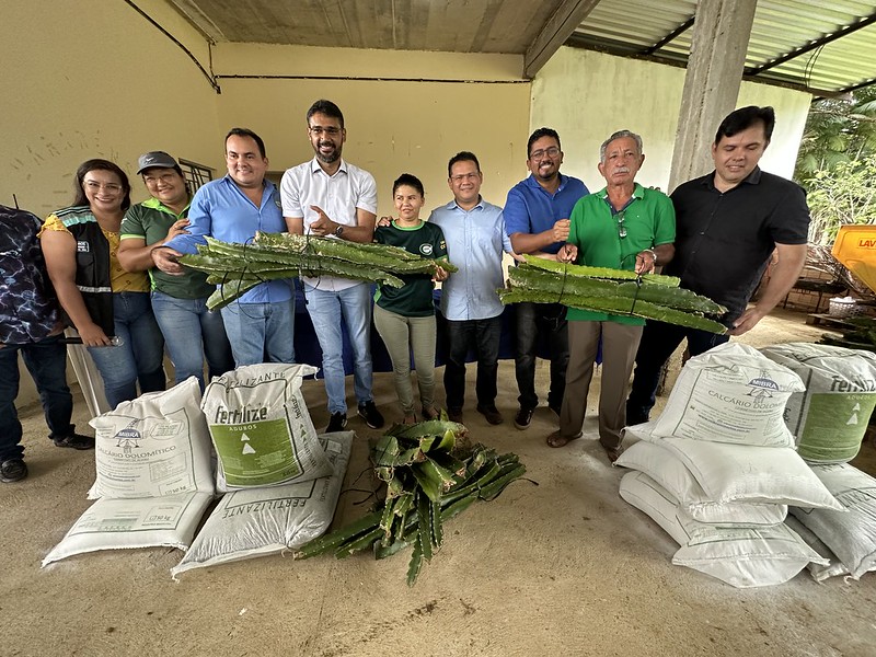 ‘Manaus mais Agro’ da prefeitura fomenta a cadeia produtiva da Pitaya