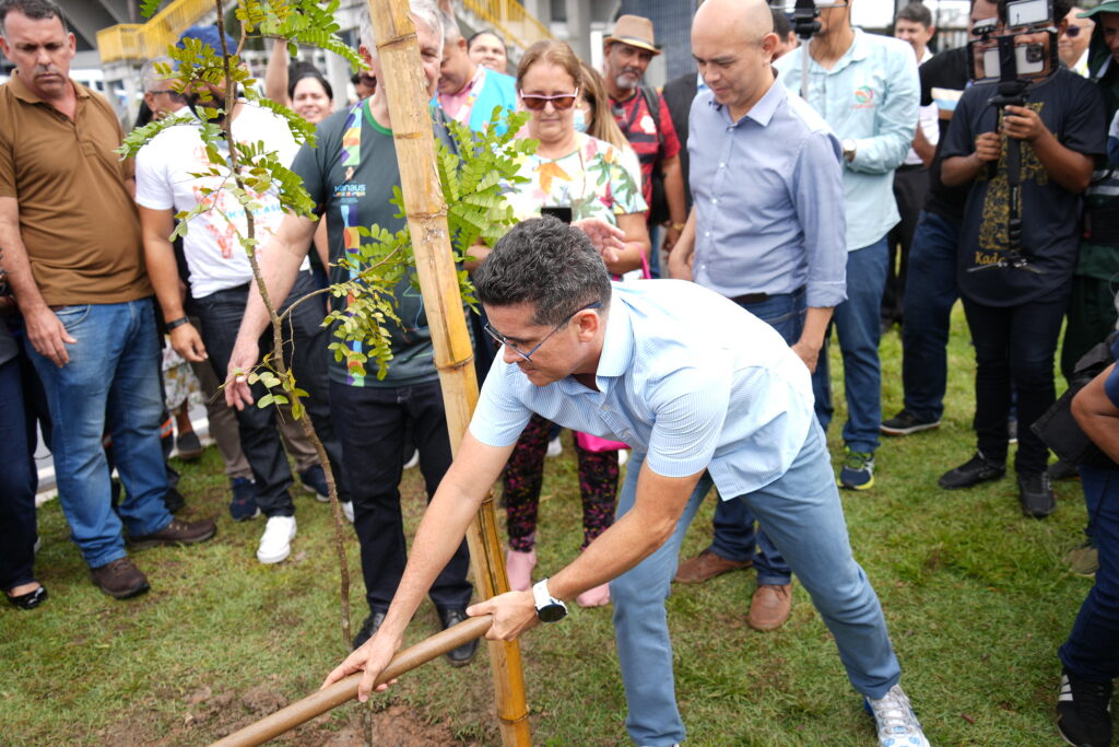 Aplicativo para gerenciar ações de arborização na cidade é lançado