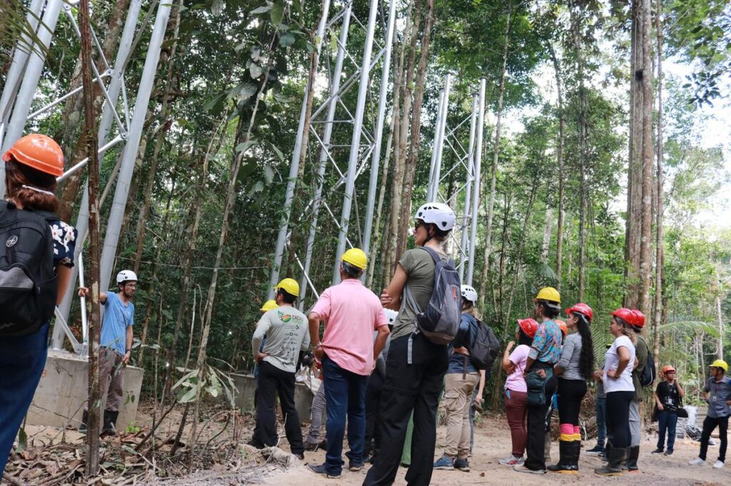 Reino Unido vai investir dois milhões de libras para entender o futuro da Amazônia