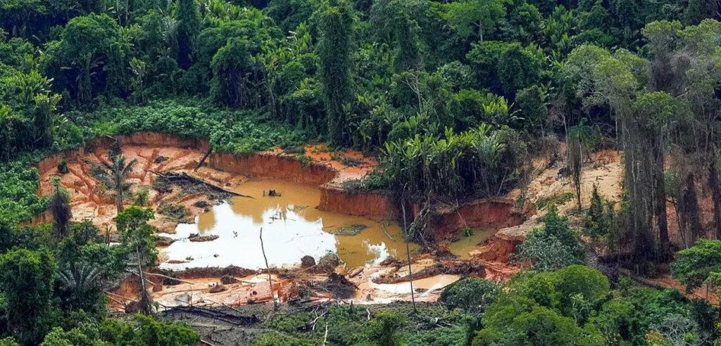 Força-tarefa destrói dez garimpos ilegais na Amazônia