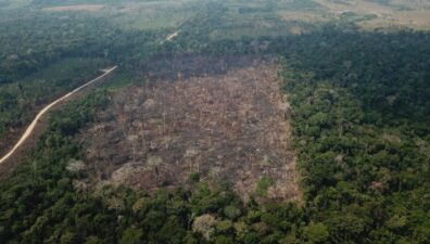 Mais de 8 mil pessoas foram assassinadas na Amazônia Legal em 2022