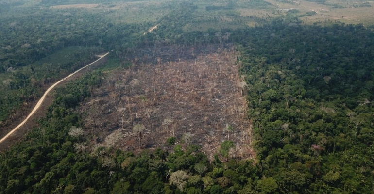 Mais de 8 mil pessoas foram assassinadas na Amazônia Legal em 2022