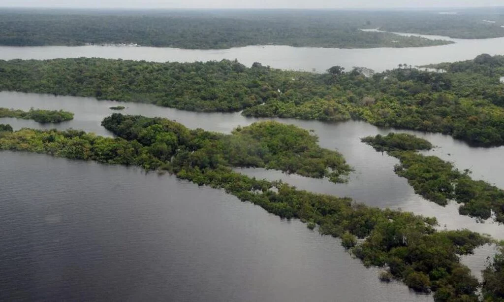 Plano de Segurança na Amazônia prevê 34 bases fluviais e terrestres