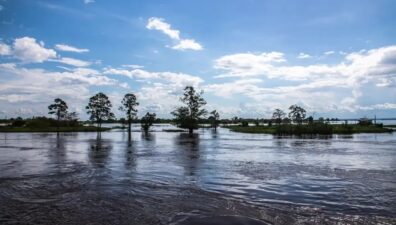 Governo estuda ampliar faixa de fronteira da Amazônia Legal