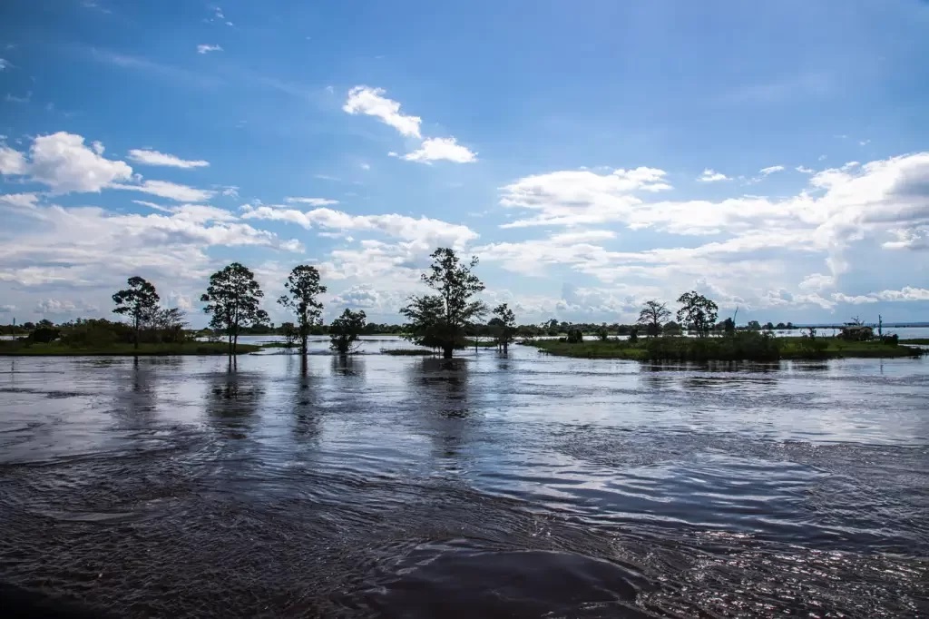 Governo estuda ampliar faixa de fronteira da Amazônia Legal