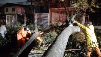 Ciclone interdita estradas e causa estragos em Santa Catarina