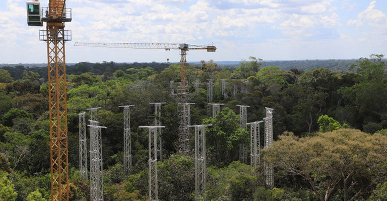 Programa que monitora impacto das mudanças climáticas na Amazônia entra em nova fase