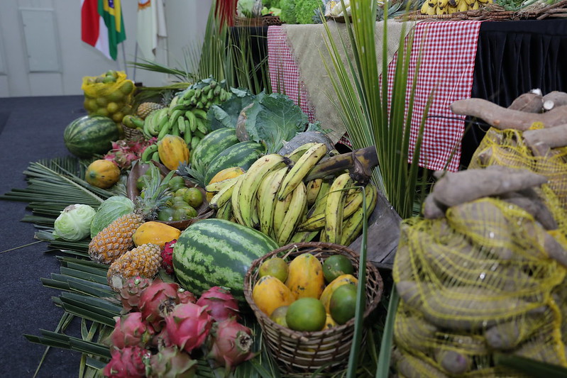 Manaus sedia evento ‘Amostra da Agricultura Familiar'