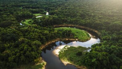 Dinamarca pode doar R$ 110 milhões para Fundo Amazônia