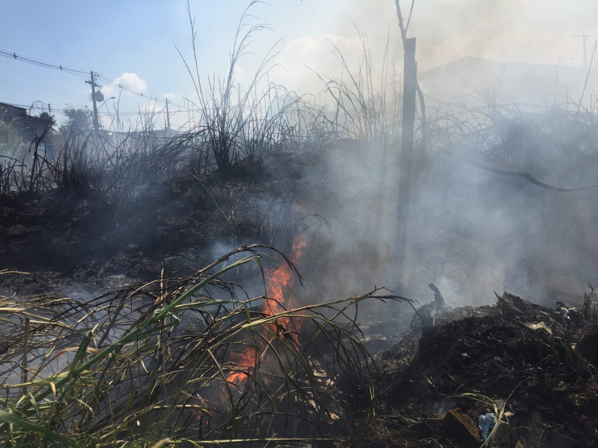 Mais de 40 focos de incêndio em 48 horas são registrados em região metropolitana de Manaus Nos últimos dois dias, entre segunda-feira (21) e terça-feira (22), vinte e três incêndios em áreas de vegetação foram registrados na capital amazonense. No total, catorze ocorrências foram identificadas na segunda-feira e nove registros na terça-feira. O comandante-geral do CBMAM, coronel Orleilso Ximenes Muniz, alertou que esses incêndios se intensificam devido ao período do verão amazônico. Ele enfatizou a importância de evitar atitudes que possam desencadear os incêndios, como jogar pontas de cigarro em áreas vegetativas e queimar lixo. O número de ocorrências desse tipo aumenta com a temporada de calor. Muniz também destacou que, em caso de incêndio, a população deve acionar imediatamente o Corpo de Bombeiros por meio do número 193. A corporação possui equipes de plantão em todas as zonas da cidade para atender essas situações. Além dos incêndios na capital, o CBMAM também respondeu a 21 ocorrências de incêndios em vegetação nos municípios da região metropolitana. O alerta é para a necessidade de cuidado e prevenção durante a estação do verão amazônico.