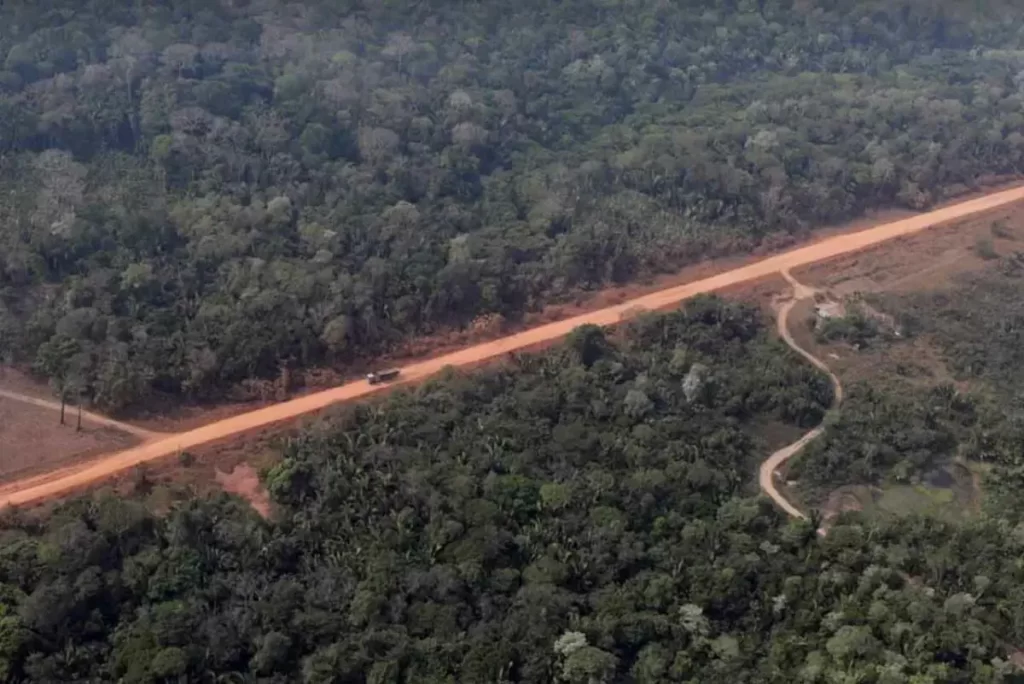 Rede de ramais na BR-319 é cinco vezes maior que a rodovia