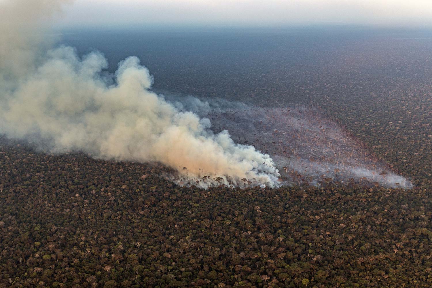 Vídeos mostram Manaus e interior do AM cobertos por fumaça de queimadas