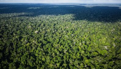 Amazônia é um dos focos da ONU para a Agenda 2030