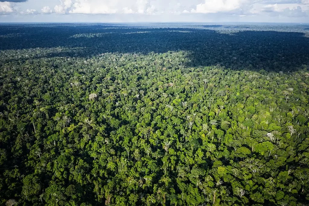 Amazônia é um dos focos da ONU para a Agenda 2030