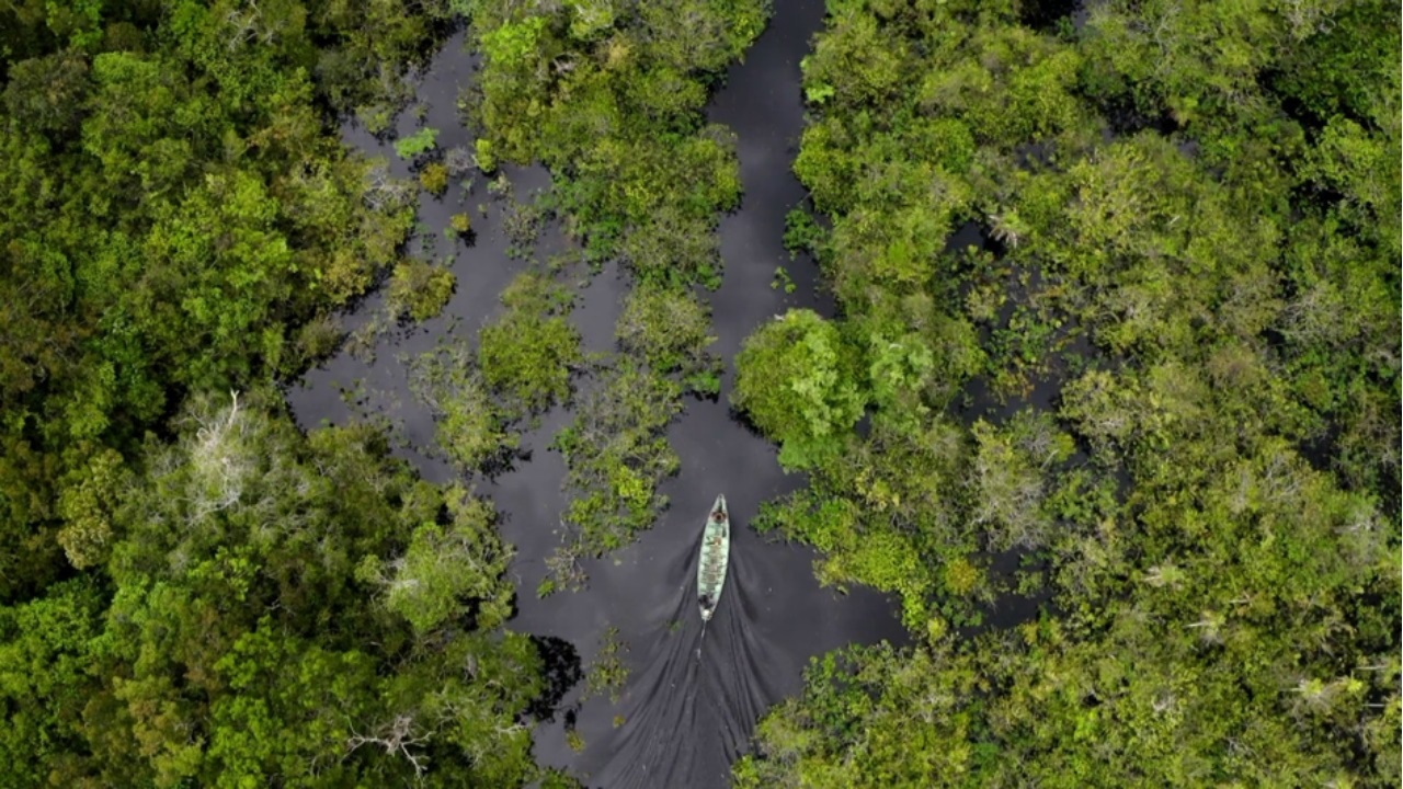 Amazônia reúne 22% das mortes de defensores da terra em todo o mundo