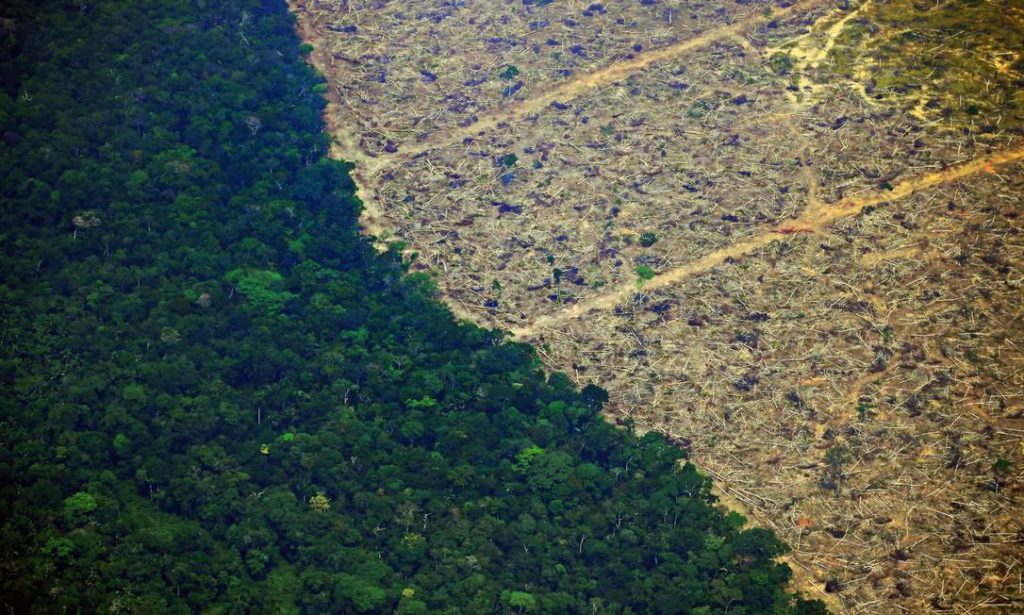 Alertas de desmatamento na Amazônia caem 66% em agosto