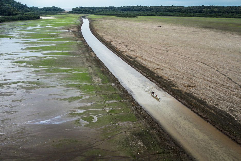 Rio Negro deve atingir ápice da seca em outubro, segundo CPRM