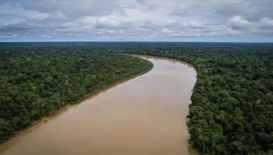 Amazônia Legal vai receber recursos para projetos de bioeconomia