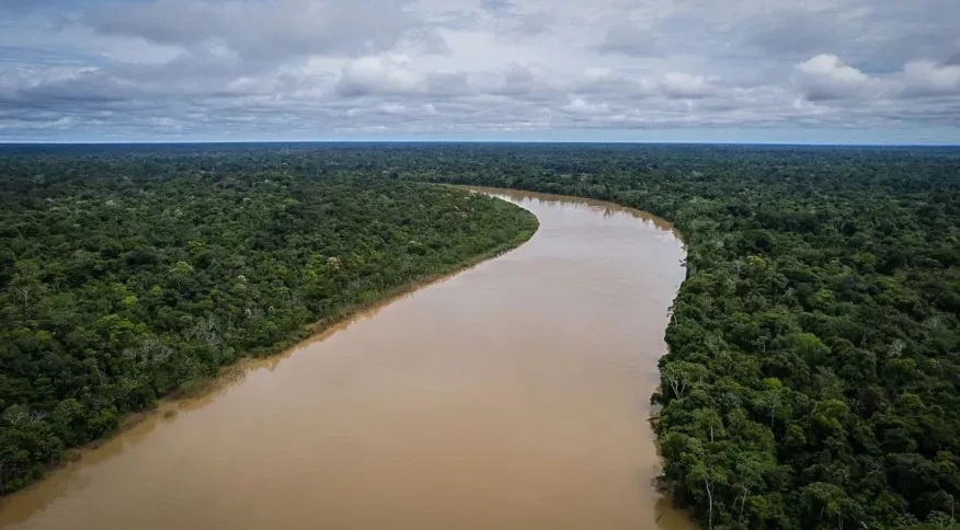 Amazônia Legal vai receber recursos para projetos de bioeconomia